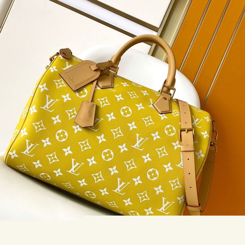 LV Travel Bags